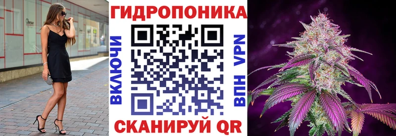 закладка  Тайга  МАРИХУАНА Amnesia 